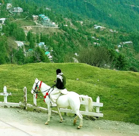 Murree