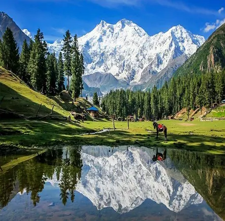 Fairy Meadows